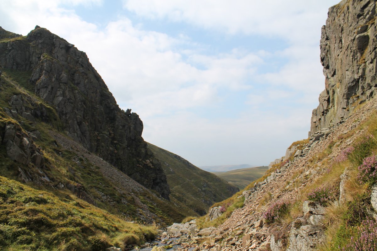 PhilSipocz's tweet photo. @tutty352 It is quite a long valley. We followed the College Burn and ascended through Hen Hole. About the most dramatic bit of the Cheviots. lovely part of the world though. @NorthWestFoss might like these. https://t.co/vlAavlZ0YC