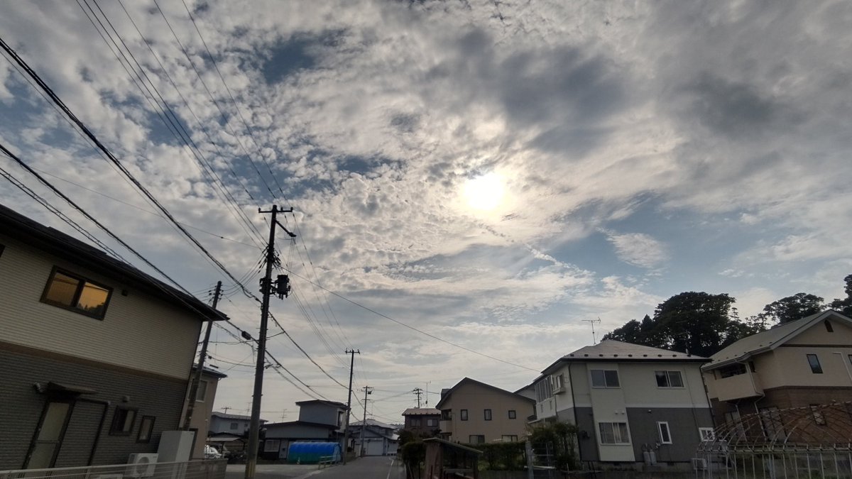 awashimas's tweet photo. こんばんは、今日は下り坂の天候で夕方には雨となる予測でしたが、結局晴れて暑い一日でした。 https://t.co/mLngGrKO3H