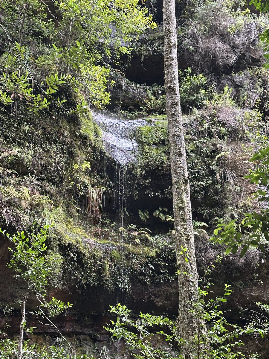 b0owie's tweet photo. breaking news edtwt user touches grass and gets her steps in on a hike instead of pacing her room #edtwtㅤ #edrtwt https://t.co/qMDMNhmynO