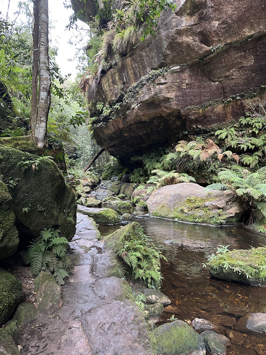 b0owie's tweet photo. breaking news edtwt user touches grass and gets her steps in on a hike instead of pacing her room #edtwtㅤ #edrtwt https://t.co/qMDMNhmynO