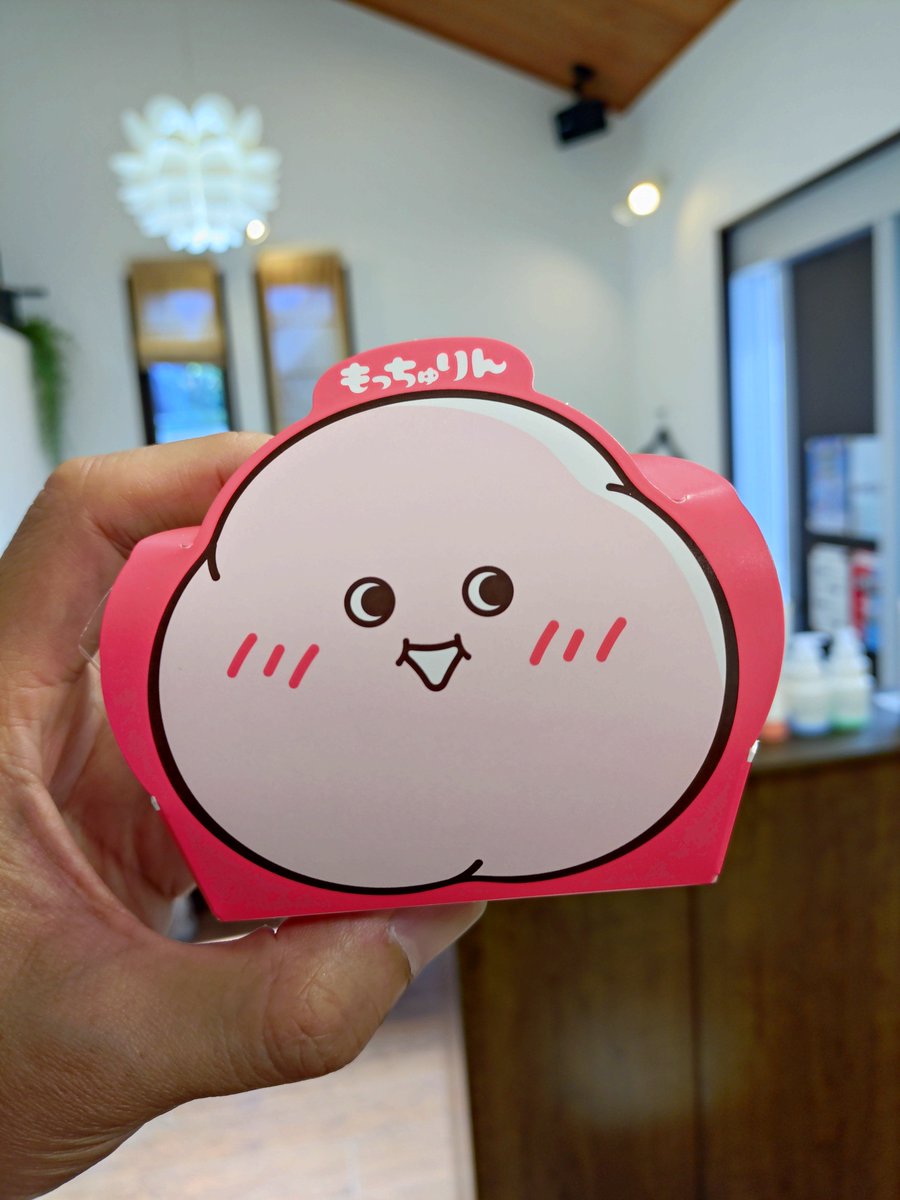 一緒にもっちゅりんを連れてきました🍩 飛行機に預ける時もひと声