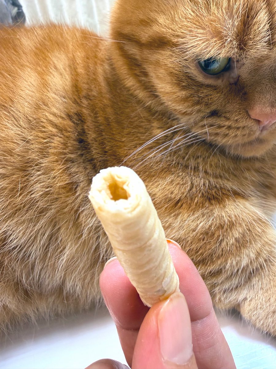 bakky_'s tweet photo. 業スーで買ったこのお菓子美味しいっっ😻ココナッツ好きな方にオススメ😽💕 https://t.co/cLJ3RVP8AZ