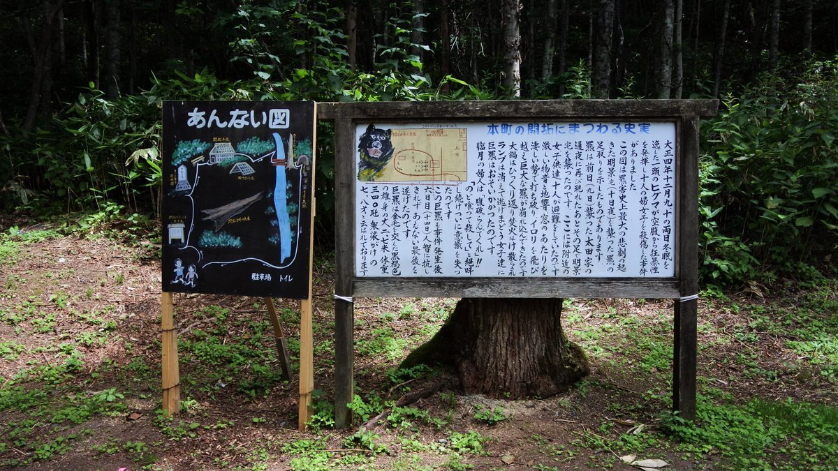 nfkichi's tweet photo. #くまじろう　#クマジロー　#ハニートイズ　北海道　#苫前町　#苫前　三毛別羆事件復元地　#くまちゃんのなつかし写真館　2021年7月中旬撮影 https://t.co/Wvq5OGbDMM