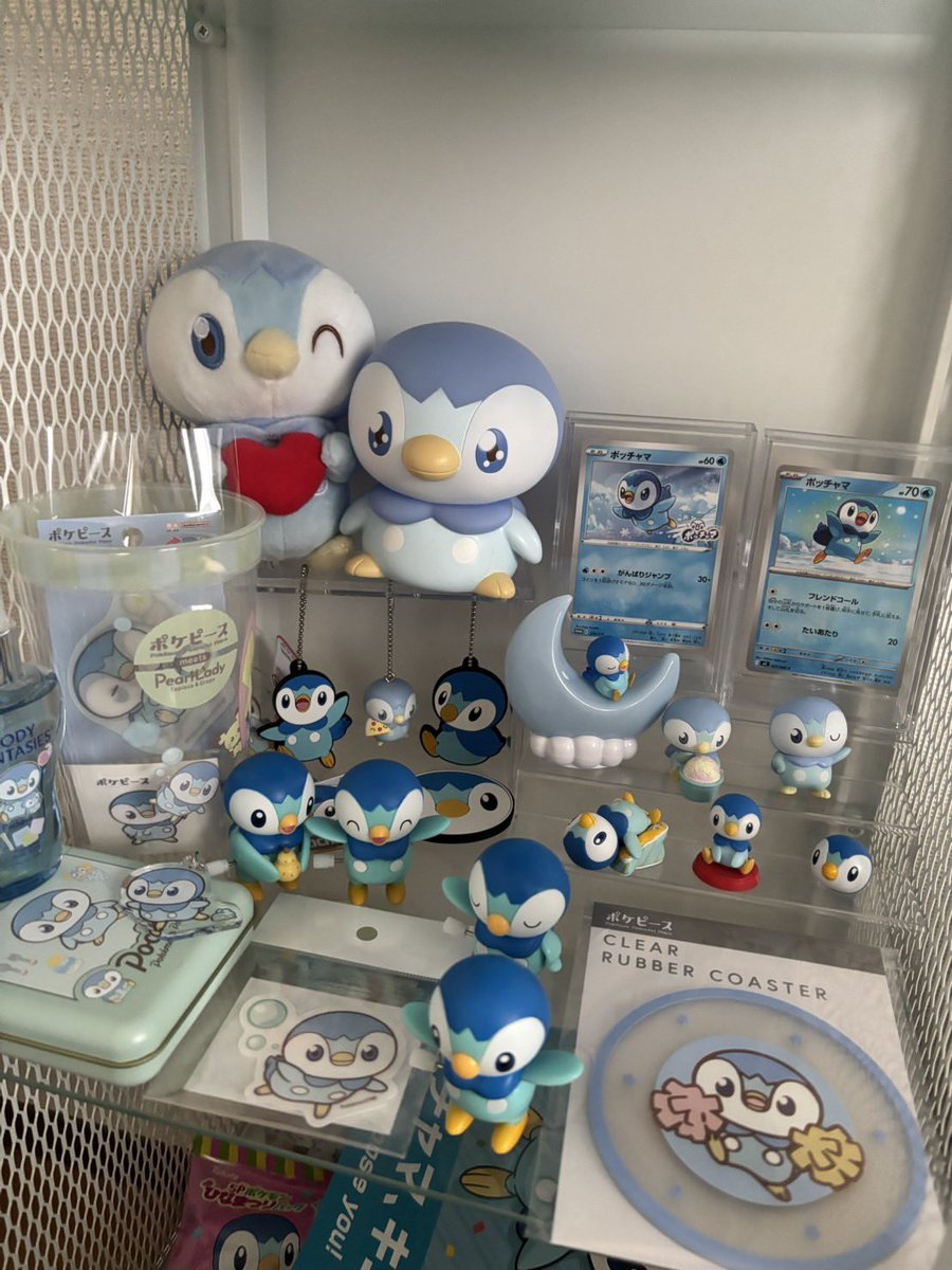 pochi___00's tweet photo. 【Since 2026.6.21〜】

ポッチャマへの愛が天元突破したので、TLがポッチャマで溢れ返る眼福アカウントを作成しました🙂
ポッチャマ好きの方仲良くしてください🙂‍↕️
#ポッチャマ好きと繋がりたい
#ポケモン　#ポッチャマ　#ぽっちゃま https://t.co/xyQI3yycda