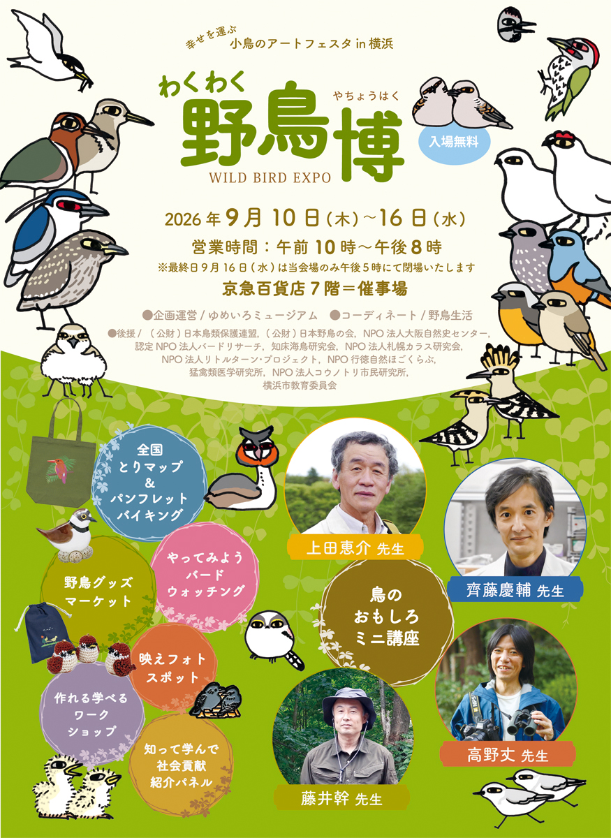 Yachoo_Seikatsu's tweet photo. わくわく野鳥博、今年も開催です✨
「モノを売るだけでなく、野鳥について知って学んで楽しめる」をモットーに始めた野鳥博もおかげさまで今年で５回目✨

わくわく野鳥博は、なんといっても充実度が充実（語彙力）

・全国とりマップ&パンプレットバイキング
全国の鳥にまつわる施設をマップで紹介すると同時に、各施設から取り寄せたパンフレットを設置。気になる施設のパンフを好きなだけテイクアウトできちゃう！
常時開催。

・やってみようバードウォッチング
双眼鏡やスコープの使い方がわからない、おすすめが知りたい方にオススメ。
会場に設置したスコープや双眼鏡を実際にさわって、実物大の鳥フィギュアを探してみよう。
混雑時以外は毎日開催。

・映えフォトスポット
ご来場記念に大好評のフォトスポットパネルを設置します。
人間用だけでなく、ぬいぐるみ用も！
常時開催。

・鳥のおもしろミニ講座
鳥類学の第一線で活躍中の専門家によるミニ講座。
憧れのあの先生に実際に会えるチャンスです。
書籍販売&サイン会もあるよ！

・作れる学べるワークショップ
リトルターンプロジェクト・コアジサシのデコイ作り
行徳自然ほごくらぶ・マスコット色ぬり
富士鷹なすびさんと缶バッジ作り
さわれる羽根標本（標本たっぷり追加します）

・野鳥グッズマーケット
全国の「野鳥ガチ勢」な作家が、野鳥愛を込めて制作したグッズがぎっしり大集合します！
今年のテーマは「愛する鳥たち」。
ただ野鳥がモチーフというだけでない、野鳥好きで野鳥を観察しているからこそ作れる、そんな作品がメジロオシ！
野鳥モチーフのお菓子や飲み物もあるよ！

ふぅ……。

ここまで書いてて主宰のわたしも驚愕の驚き（語彙力）
よくここまで盛り込んだものだ……！

わくわく野鳥博は年に一度、この横浜でのみ開催です。
ほかの地域でのリクエストもいただきますが、この充実度の催事は年に一度が限界です。

遠方のかたも、なんとか予定をやりくりして来てくださいね！
関東圏のかたも、ぜったいのぜったいに来てくださいね！
作家一同はりきって準備しています！