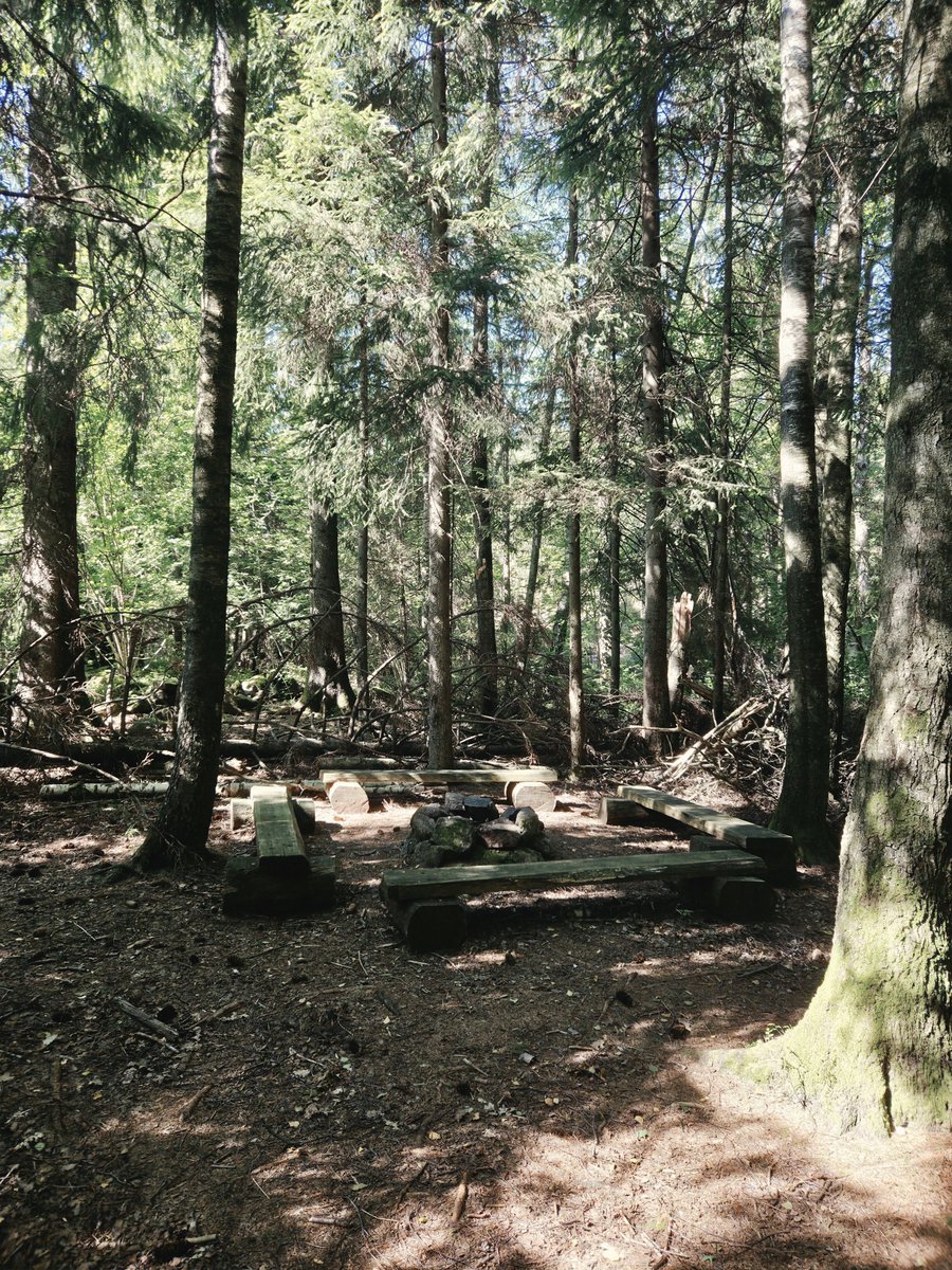 manuelsm's tweet photo. Come, let us go to the forest,
let us rest where the pines grow tall and quiet.
Let us walk the old paths at dawn
to see if the ferns have unfurled,
if the lake still holds the sky in its stillness. https://t.co/w27tbAeB02