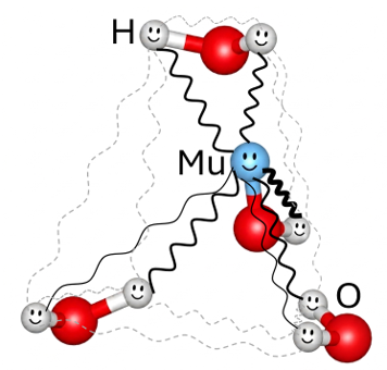 J_PARC's tweet photo. 【プレスリリース】氷の中でのミュオンの不思議な挙動を解明 - 50年来の謎を解く鍵は「量子」の振る舞い -
https://t.co/AaCIeWGCv5
Mystery of Muon Behavior in Ice Solved - Quantum Effects Reveal the Key to a More Than 50-Year-Old Enigma -
https://t.co/AVUSQcDIeP
DOI🔽
https://t.co/7cCmYCIWUn