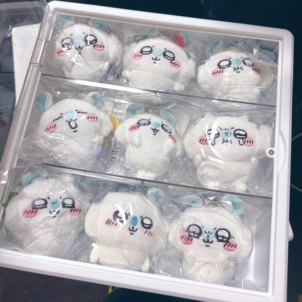 hamucheeeeese's tweet photo. 今日えだちゃと通話しながらモモンガのマスコットをコレクションボックスにギュウギュウ…コレクションボックス6個じゃ足りなかった…oh… https://t.co/HXMamvvsK4