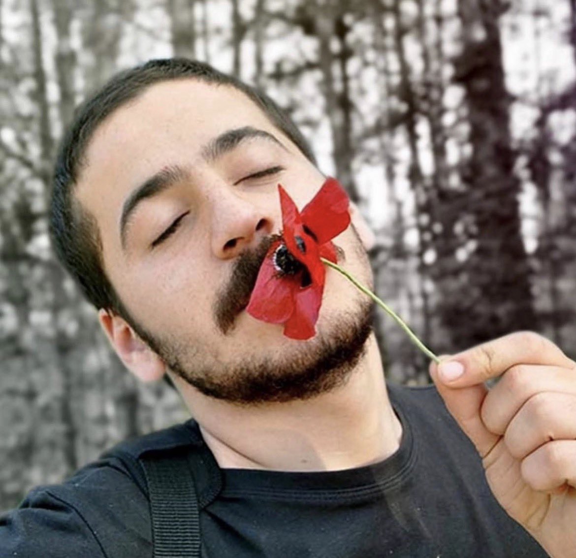 bcmeryy's tweet photo. Güllerin içinden canım 🌹

#AliİsmailKorkmaz https://t.co/JFJx3rnqXG