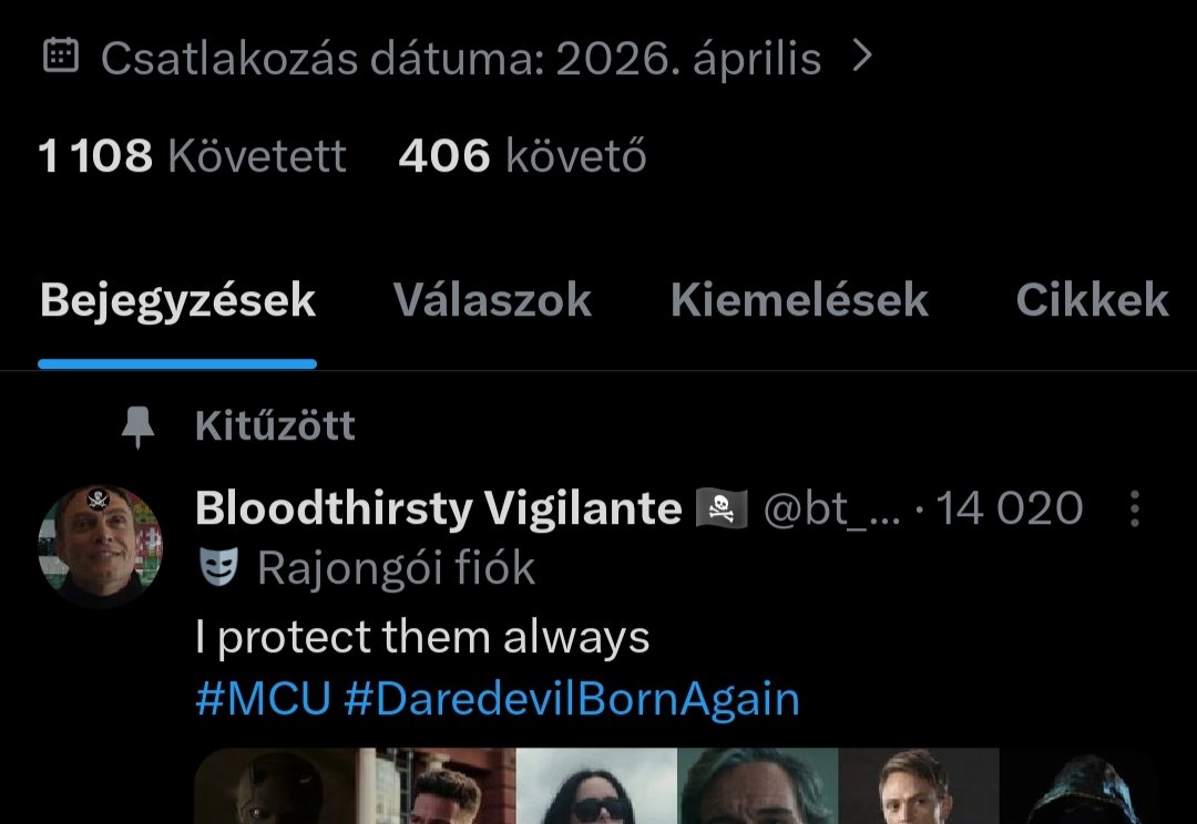 Bloodthirsty Vigilante 🏴☠️ tweet media
