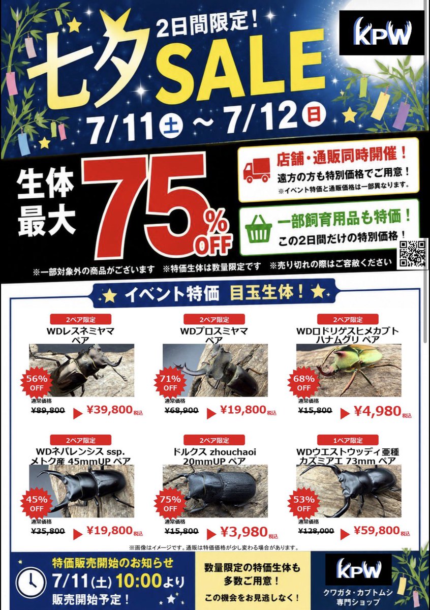 knopets_kpw's tweet photo. 🎋 七夕SALE開催！

📅 7/11（土）～7/12（日）の2日間限定！

🪲 生体 最大75%OFF！
🪵 一部飼育用品もイベント特価！

イベントへ行かれる方も、遠方で行けない方も楽しんでいただけるよう、店舗・通販ともに特別価格をご用意しました！

🕙 特価販売開始
7/11（土）10:00～

※店舗特価と通販特価は一部異なります。

そして今回も…
目玉特価生体を多数ご用意！

📋 目玉商品リストできました🉐
こちらの目玉商品以外もお得になってる生体多数🔥

この2日間だけのお得なチャンスをぜひお見逃しなく😊

◎KPW公式オンラインショップ
https://t.co/3uwfcZmU0F

#KPW #七夕SALE #クワガタ #カブトムシ #昆虫ショップ #生体セール #昆虫好き