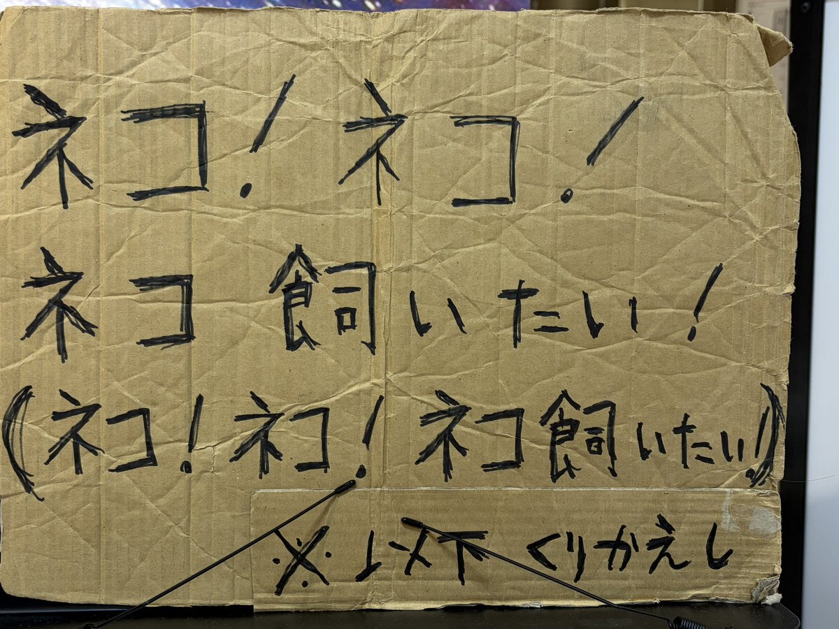yo_yoshida's tweet photo. ラグマットと靴下だけのつもりやったけど無理やった
靴下はなかったけど大満足！自宅ヤバTコーナーが充実するの嬉しいなー

#ヤバTおもしろポップアップ https://t.co/WUay8StM6u
