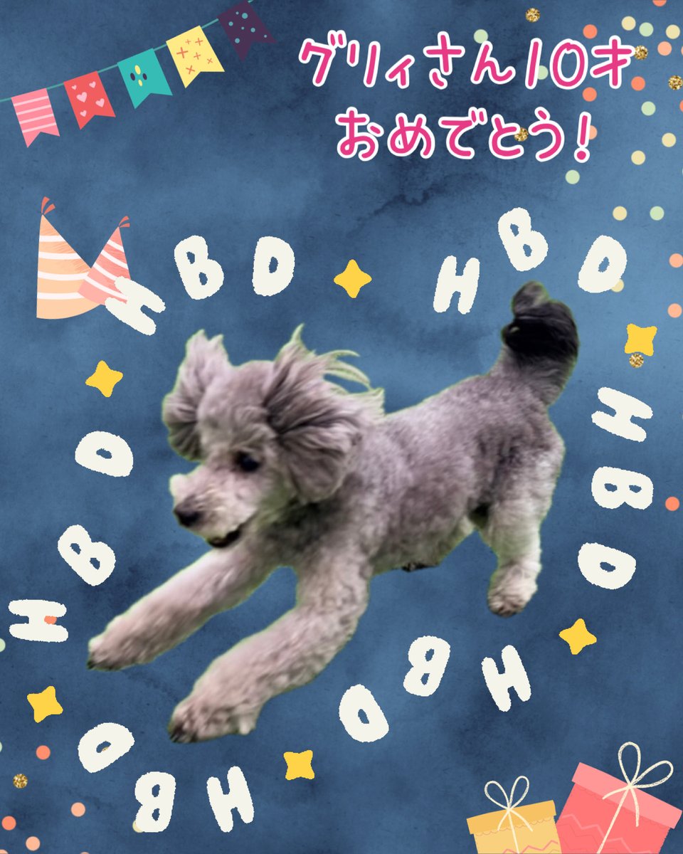 okaw8's tweet photo. 大好きなグリィさん
10才のお誕生日おめでとう❤️

楽しい毎日を過ごして、これからも可愛いを磨いて下さい❤️❤️❤️
いつも元気をありがとう🫶
#グリィちゃんねる
#お誕生日
#7月10日 https://t.co/js8thawQdO