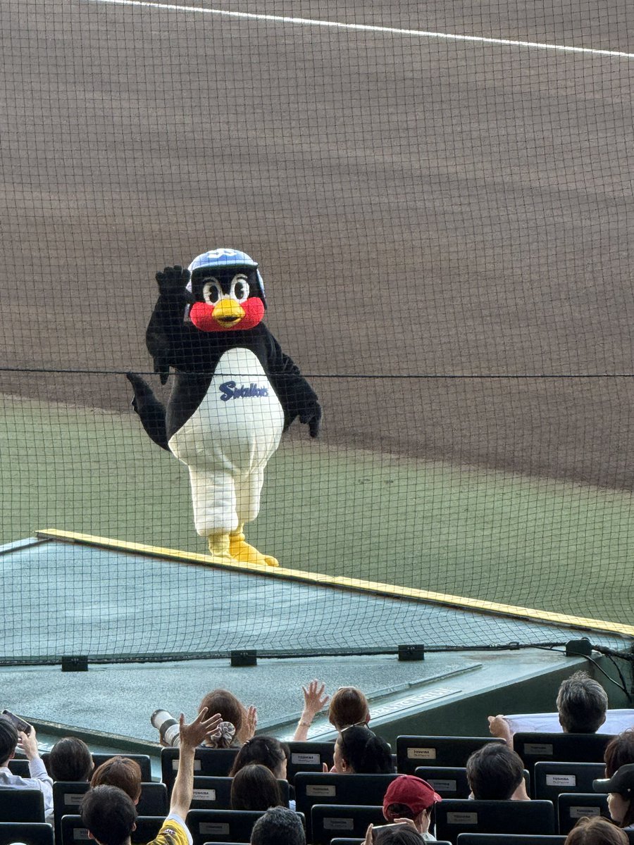 hide64920967's tweet photo. つば九郎登場‼️待ってたよ‼️ https://t.co/FSLYOTZd6f