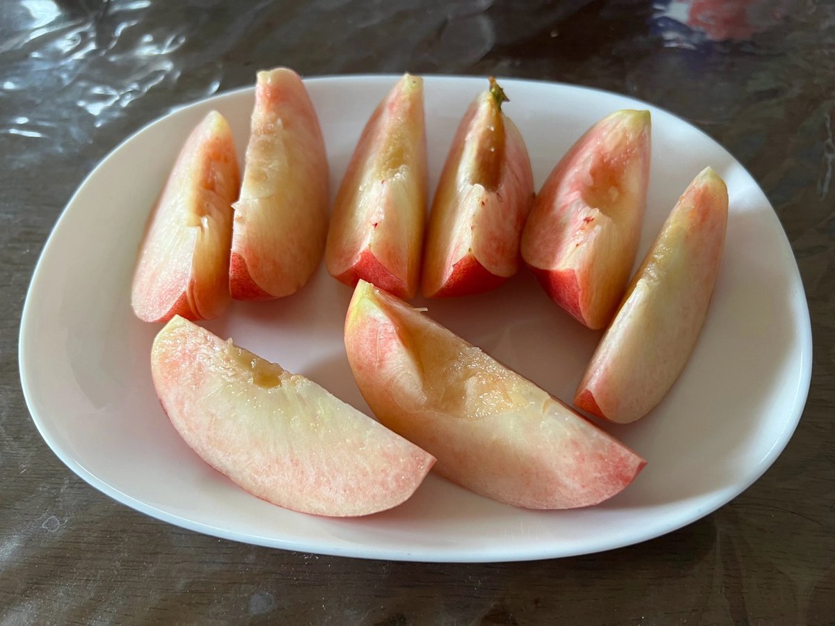 YUM_NOSH_FFC's tweet photo. 桃の食べ比べしてみませんか？🍑

品種によって甘さ・香り・果汁・食感がそれぞれ違います。

だからこそその時期に一番おいしい桃を味わってほしい。

🌸7月：みずみずしい「文月の桃」
🌿8月：濃厚な甘みの「葉月の桃」
🍁9月：食べ応え抜群の「長月の桃」

同じ農園でも季節と共に味わいも変わる。 https://t.co/qhCPQKgVWo