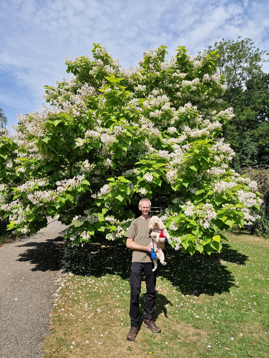 John_Dabell's tweet photo. Bloom where you stand! Even after the hardest seasons, life finds a way to flower. https://t.co/qD5G4xF5Iq