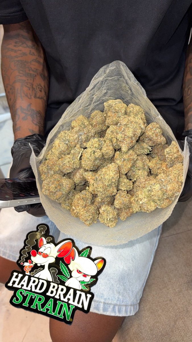 HARD BRAIN 🧠 STRAIN 🌳 tweet media