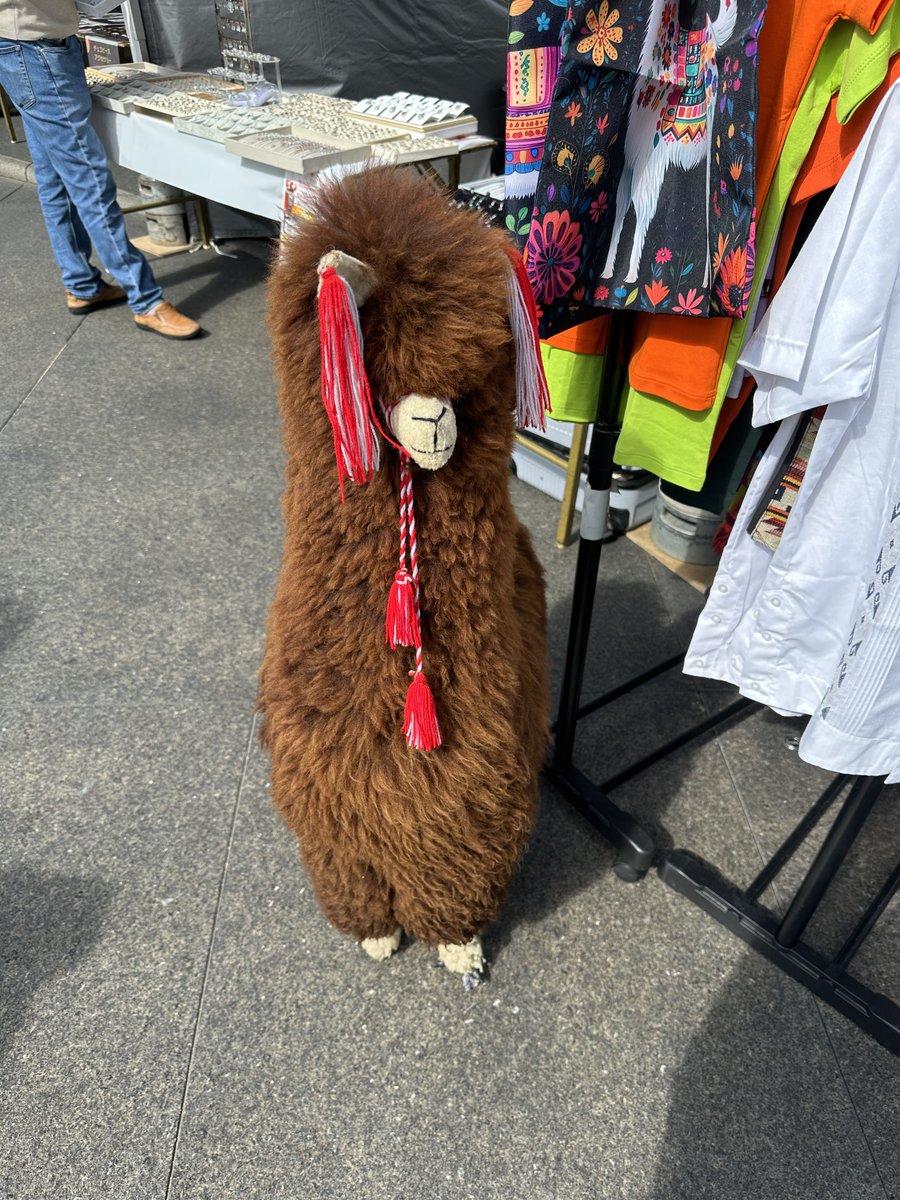 ペルー🇵🇪のアルパカ🦙ちゃん かわいいよ😍 #万博ぬいぐるみ部 #麦食音祭