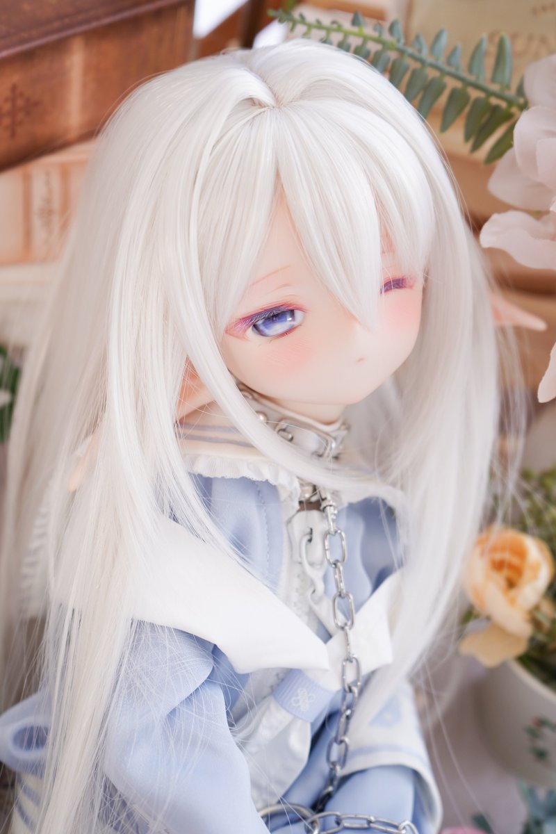 chichichi___yu's tweet photo. 宣伝失礼致します。
日曜日までぽやぽやエルフちゃんのおうちを探しております🩵🤍

https://t.co/bQU9FJU2p8

少し覗いて頂けましたら嬉しいです( ◜︎︎𖥦◝ )
どうぞよろしくお願い致します☺️ https://t.co/5imvB8xN7i