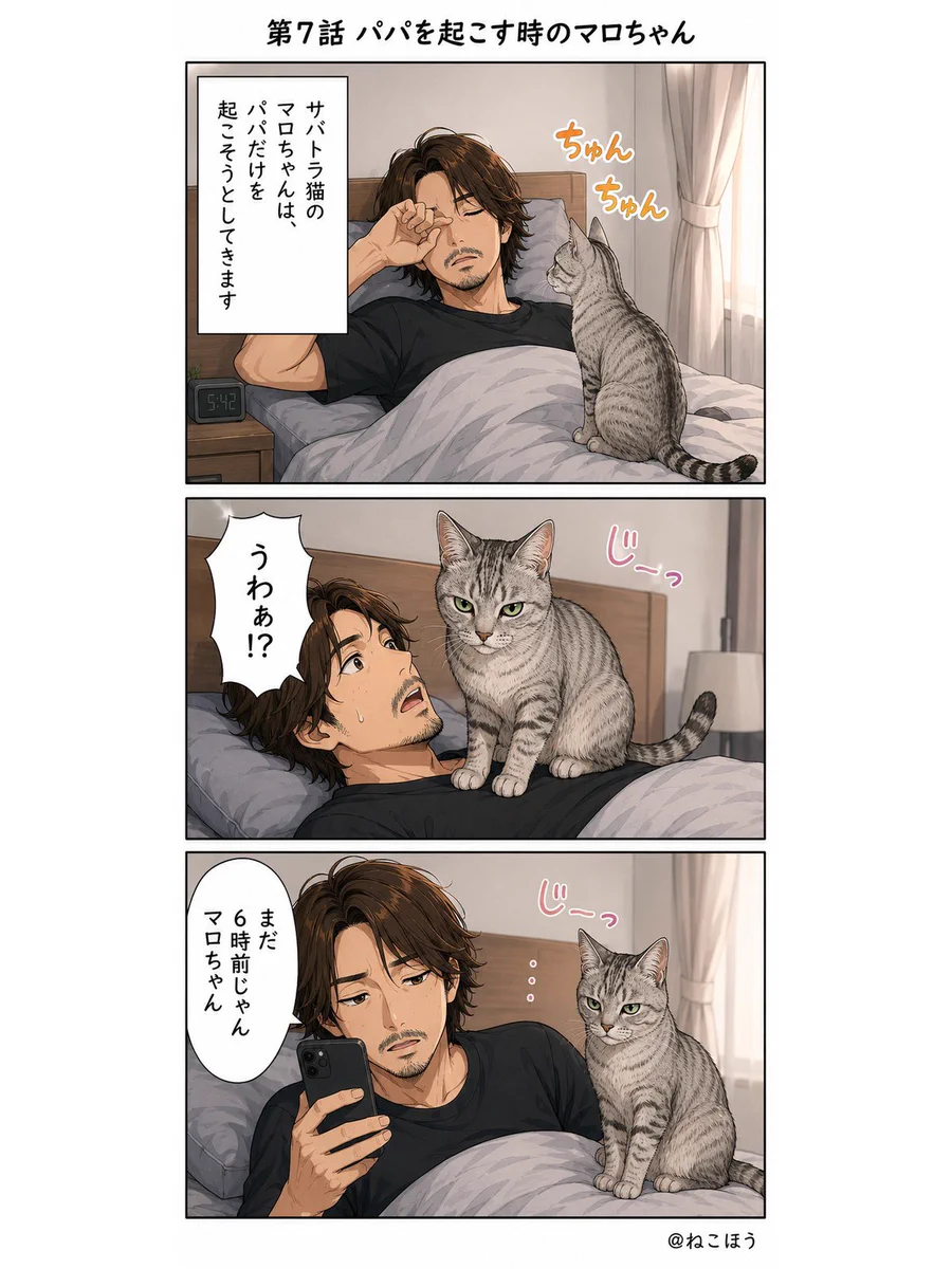ねこほうママ on X: 