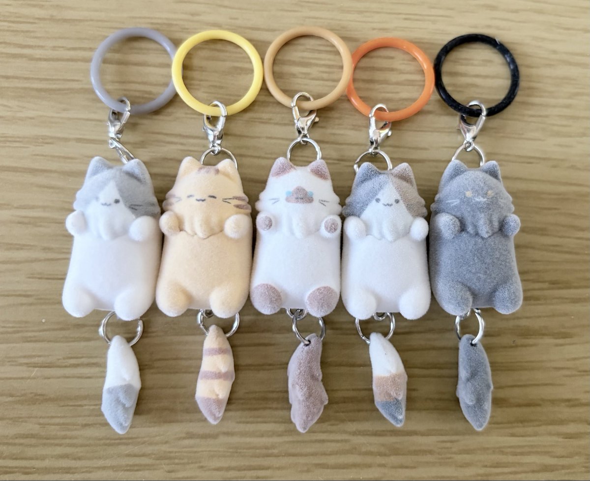 Setuna1223's tweet photo. ずっと探してたガチャ見つけたー！🥹
しかも人があまり来ないところで！
個数制限なし‼️
おかげでコンプできた😭
最初お金が詰まって回せなくて中開けて好きなの選ばしてくれた店員さん本当にありがとうございます😭😭いいことたくさん起きてほしい https://t.co/6GbqzEy781