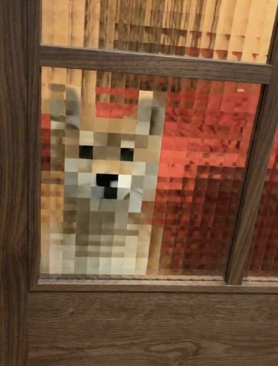 momonosekaiii's tweet photo. 今日も犬が安定のマイクラ生活してて好き https://t.co/HarKyu9VrE