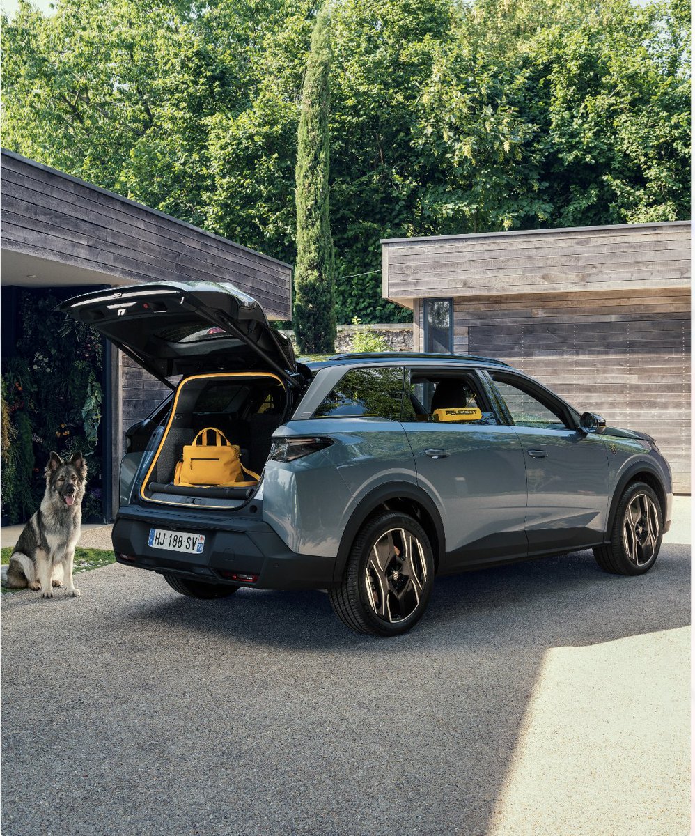 Peugeot's tweet photo. Feline standing. Canine heart. Meet the #PeugeotE5008 #DogEditionConcept – a one-of-a-kind creative exploration for dogs and the families who love them. #Peugeot #DogEdition #5Seats https://t.co/899uoEyPSE