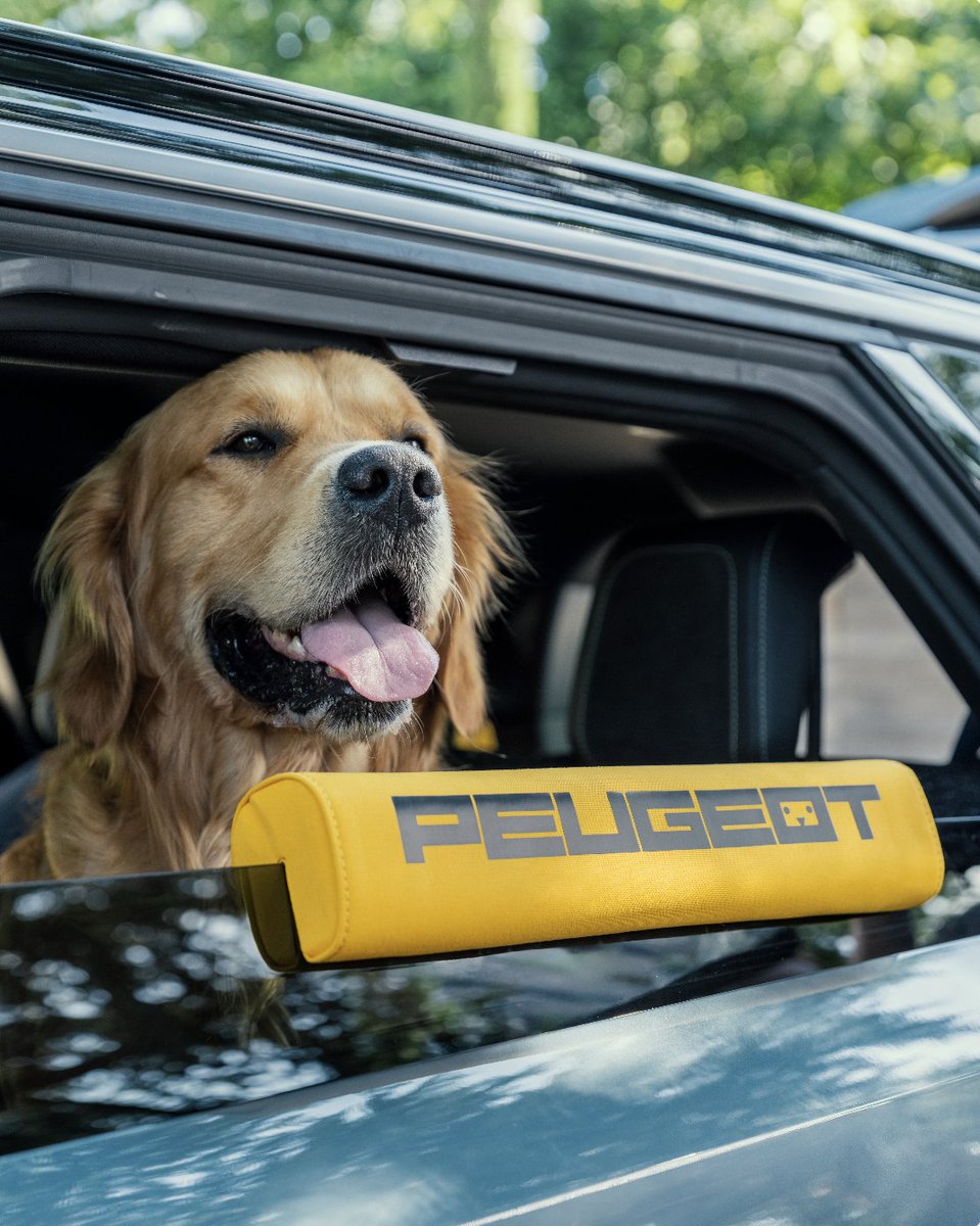Peugeot's tweet photo. Feline standing. Canine heart. Meet the #PeugeotE5008 #DogEditionConcept – a one-of-a-kind creative exploration for dogs and the families who love them. #Peugeot #DogEdition #5Seats https://t.co/899uoEyPSE