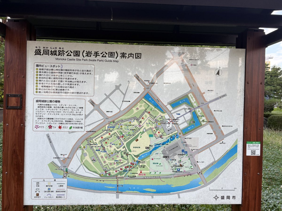 Vaclav_v_'s tweet photo. 盛岡城を攻め落とした🏯
 #ボヘミア王漫遊記 https://t.co/QZShQDCY8R