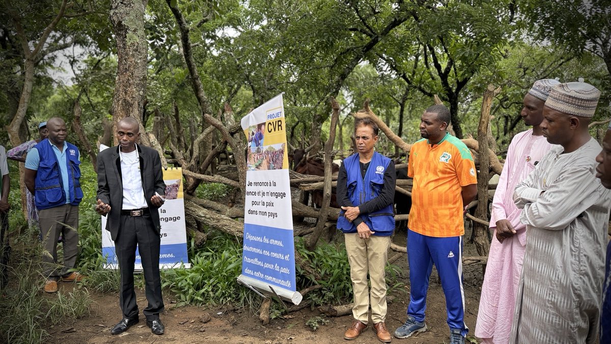 UN_CAR's tweet photo. À Niem-Yelewa (Nana Mambere), le 9/7, la #MINUSCA a remis 24 bœufs à 40 éleveurs formés dans le cadre du #CVR. Une initiative qui favorise la réinsertion économique, renforce la cohésion sociale et contribue à une paix durable dans la localité https://t.co/au7vAmI3C3