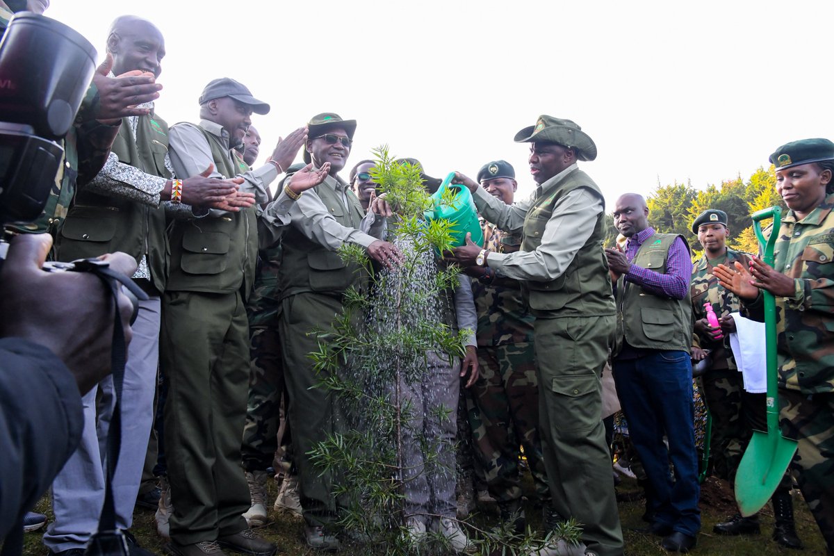 Forestry__Kenya's tweet photo. The Chief of Staff and Head of the Public Service,@koske_felix , today was joined by his Deputy, Mr. Amos Gathecha, Principal Secretaries @GMugambi_CBS (Forestry), @DrChrisKiptoo (The National Treasury), who is also the Patron of the Kaptagat Integrated Conservation Programme (KICP) and @ololtuaa (Education), in leading the host community and partners in a mass tree-growing exercise at Sabor Forest Station, Elgeyo Marakwet County, where 3,000 tree seedlings were planted.

The exercise forms part of the build-up activities ahead of the 10th Edition of the Kaptagat Integrated Conservation Programme (KICP), scheduled for 11th July 2026, which will be presided over by His Excellency President Dr. William Samoei Ruto.

Also present was the Secretary Forest Development Mr. George Tarus, Secretary for Administration Mr. Patrick Meso, Chief Conservator of Forests Mr. Alex Lemarkoko and Coordinator of the #15BillionTrees National Secretariat Ms. Susan Boit. 

#KaptagatICPAt10 #KICP #JazaMiti #15BWajibuWaKilaMkenya #15BillionTrees #15BillionTreesBy2032