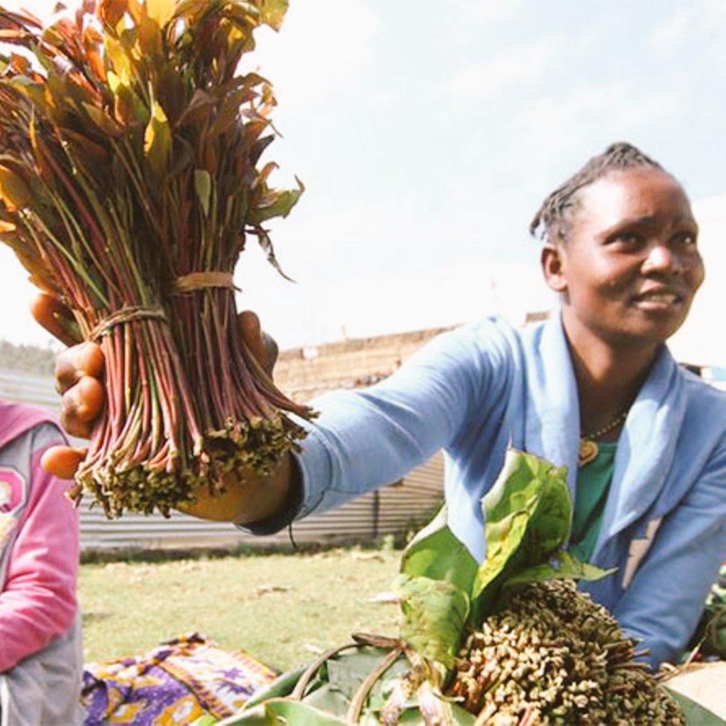 Mo_kingly's tweet photo. Somalia select Ethiopia against Kenya on Miraa Import causing panic.Kenya's economy earns almost Kes 1.5 billion monthly on Miraa Exports. Farmers decry losses citing lack of government intervention. 
Is Meru governor Mutuma M'Ethingia aware? 😂 
#Miraa #Somalia #Ethiopia #Meru https://t.co/canBzCLgBB