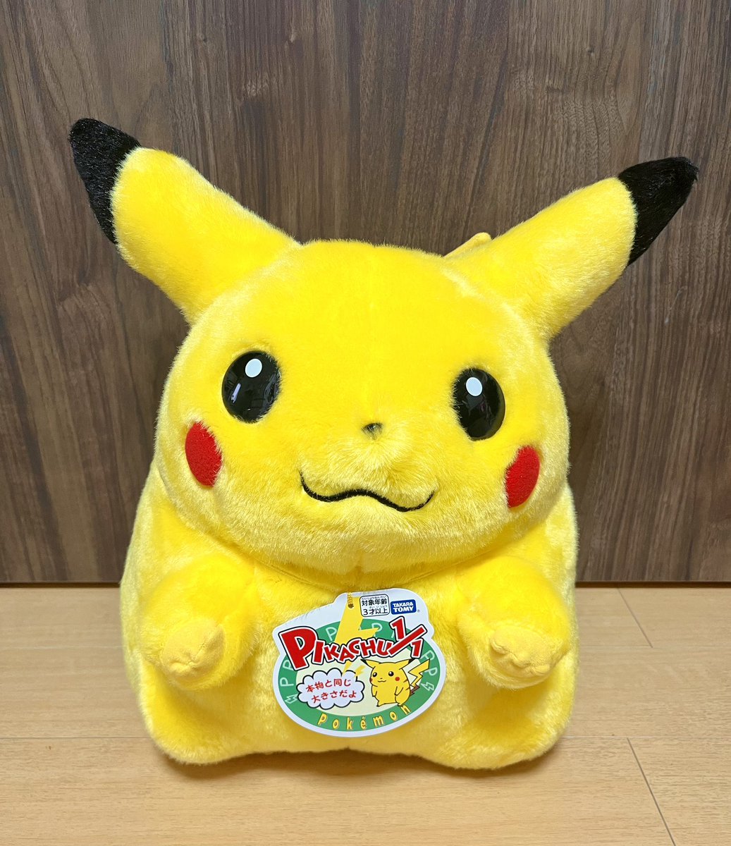 taichoo0's tweet photo. 昨日デブチュウ届いて神 https://t.co/XAuRbXA9X0