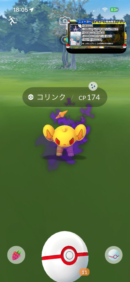 t12o7's tweet photo. カワイイいいいい！！！！

#ポケモンGO
#色違い https://t.co/TRPgg5uls9