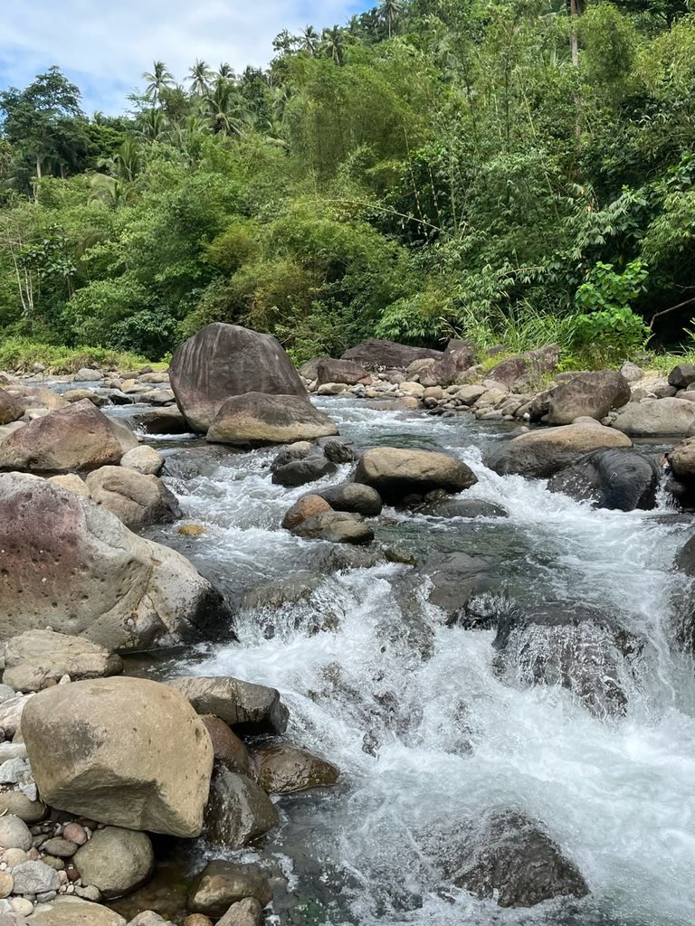 softescape_'s tweet photo. nature’s therapy https://t.co/dMa9x7XXgU