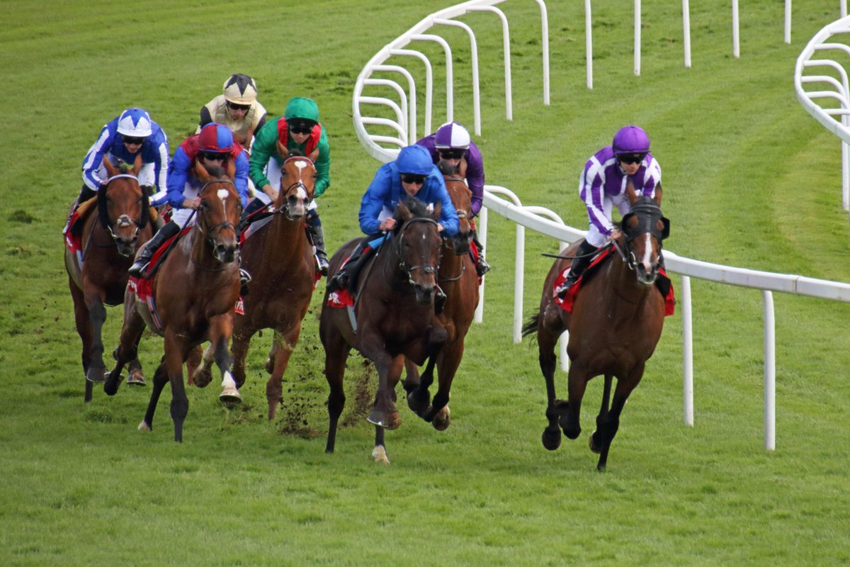 CheltenhamTips's tweet photo. Play Safe Glorious Goodwood Antepost Tips Following Latest Scratchings: After the recent Goodwood scratchings, it’s well worth taking a look at the latest ante-post markets for the upcoming Qatar Goodwood Festival, more popularly… https://t.co/zs8rDeGUOl BeGambleAware AD 18+ https://t.co/iXgqaEzZ08