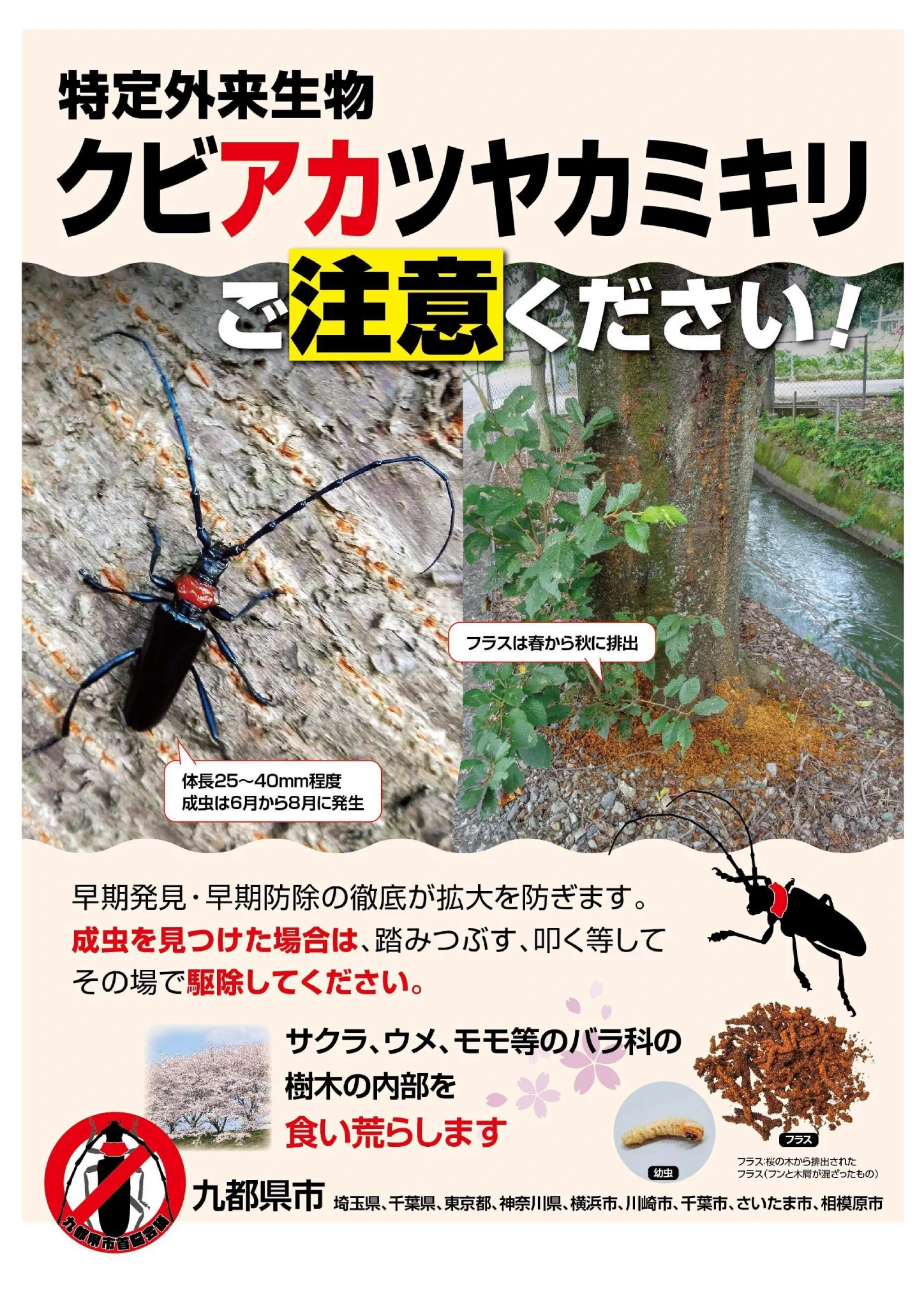 Replies by 川崎市 麻生区役所 (@kawasaki_asaoku) / X
