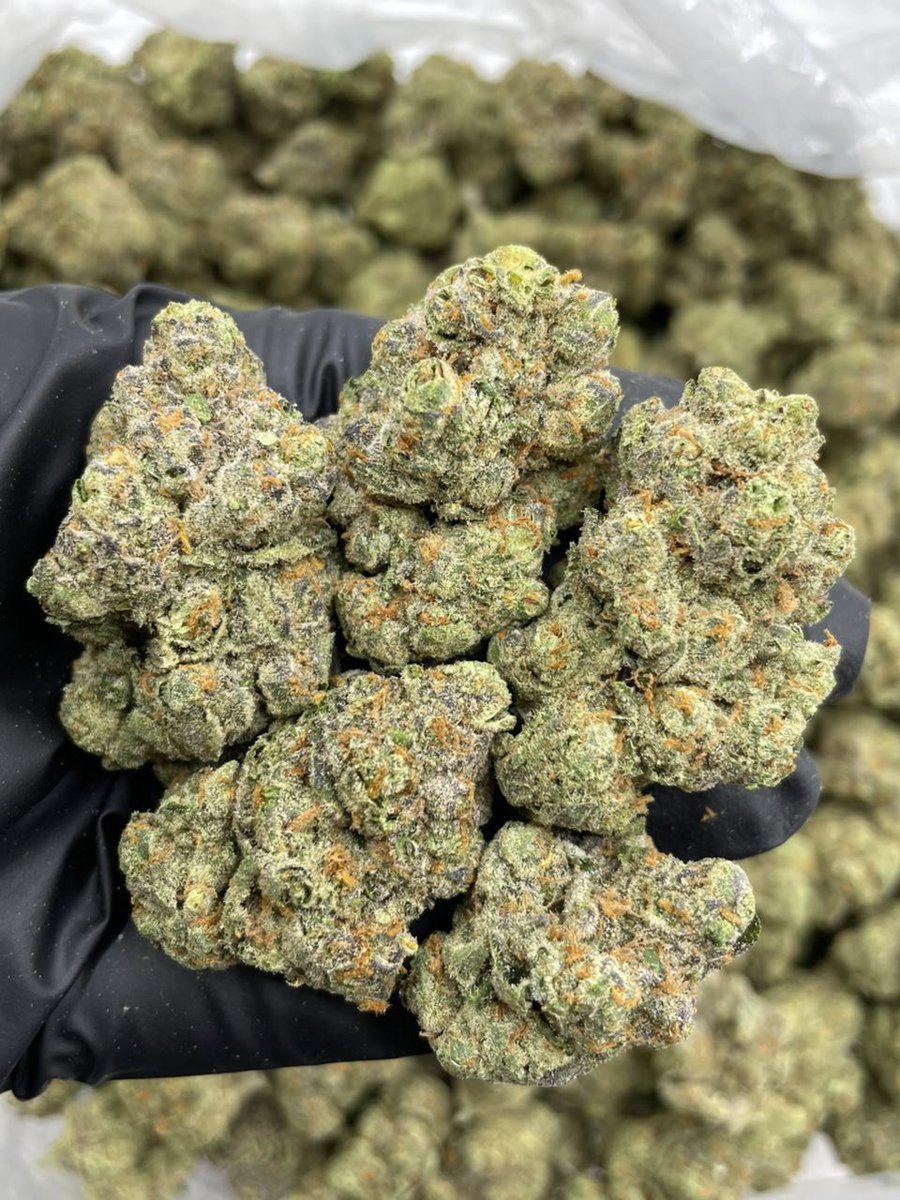 Highexonr's tweet photo. Link in bio 🦍⛽️
Weed in Japan weed Tokyo Weed Yokohama Weed Osaka Weed Nagoya Weed Sapporo Weed Fukuoka Weed Kobe Weed Kyoto Weed Kawasaki Weed Saitama Weed Hiroshima Weed Sendai Weed Kitakyushu Weed Chiba Weed Sakai Weed Niigata Weed Hamamatsu Weed Kumamoto Weed Okayama https://t.co/pfxKcHk7sB