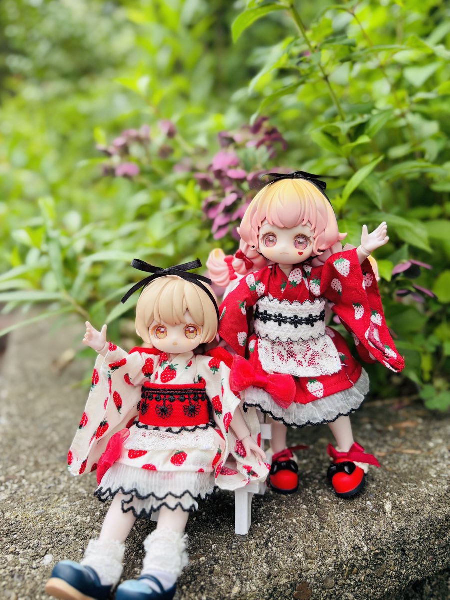 和風ドレスプレゼント企画🎁開催中！ これはうちの子用ですがご参考に