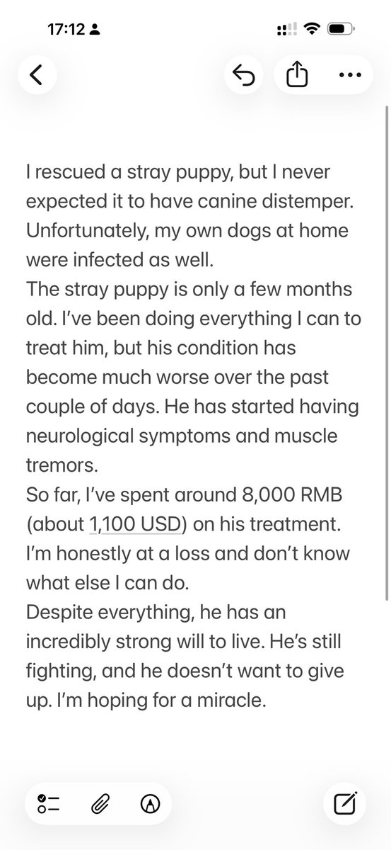 Lms200736's tweet photo. This little guy has such a strong will to live. But I’ve reached the point where I simply can’t afford any more treatment. It breaks my heart. https://t.co/gzYkAQVaac