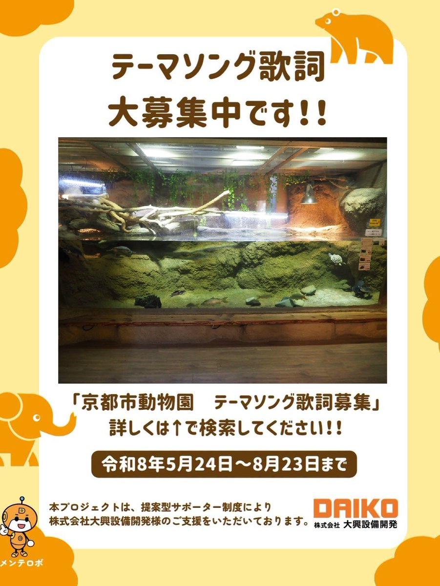 kyotoshidoubut1's tweet photo. 背中の中央が平坦なことから「ヒラセガメ」と呼ばれています。バランスを崩しながらも段差の上に登りました。

#京都市動物園 #kyotocityzoo #ヒラセガメ #熱帯動物館 #ラオス #KeeledBoxTurtle #tropicalanimalhouse #Laos #テーマソング #歌詞募集 #提案型サポーター #大興設備開発 #DAIKO https://t.co/z4Q0ItOYlH