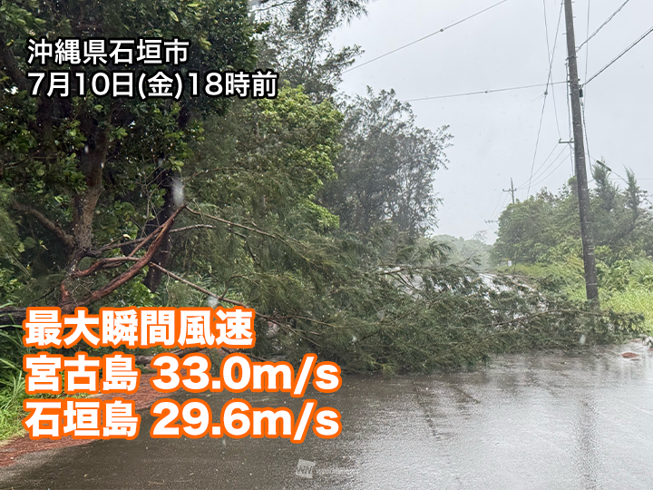 wni_jp's tweet photo. ＜宮古島が台風9号の暴風域に＞
大型で非常に強い台風9号(バービー)は10日(金)18時の推定で、宮古島の南南東約320kmまで近づいてきました。
宮古島などが風速25m/s以上の暴風域に入ったとみられます。
https://t.co/hRXzO6maK0 https://t.co/rq8aDmU4lY