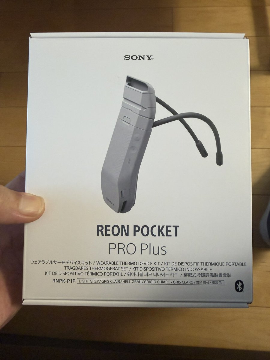 夏になってきたのでごとーさんの思い出して買ってみた。