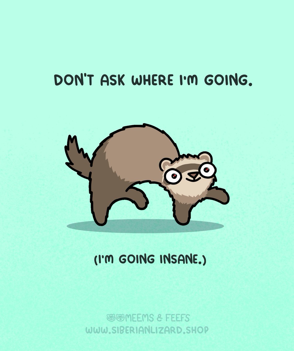 siberianlizard's tweet photo. And I am heading there imminently... 🙂 #ferrets https://t.co/ndIkSyQmWq