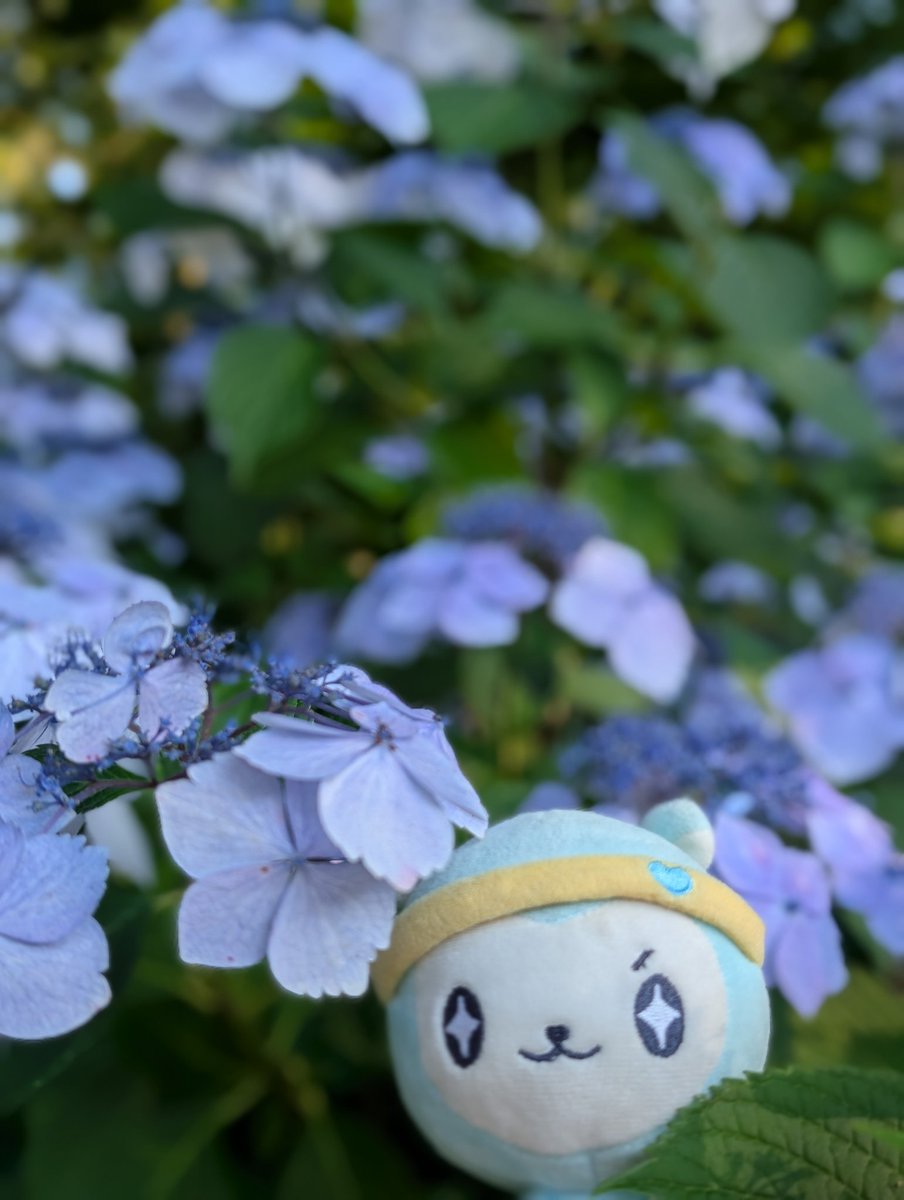 gameyorianime's tweet photo. 最初で最後のぬい活笑 https://t.co/lbPEFTDlve