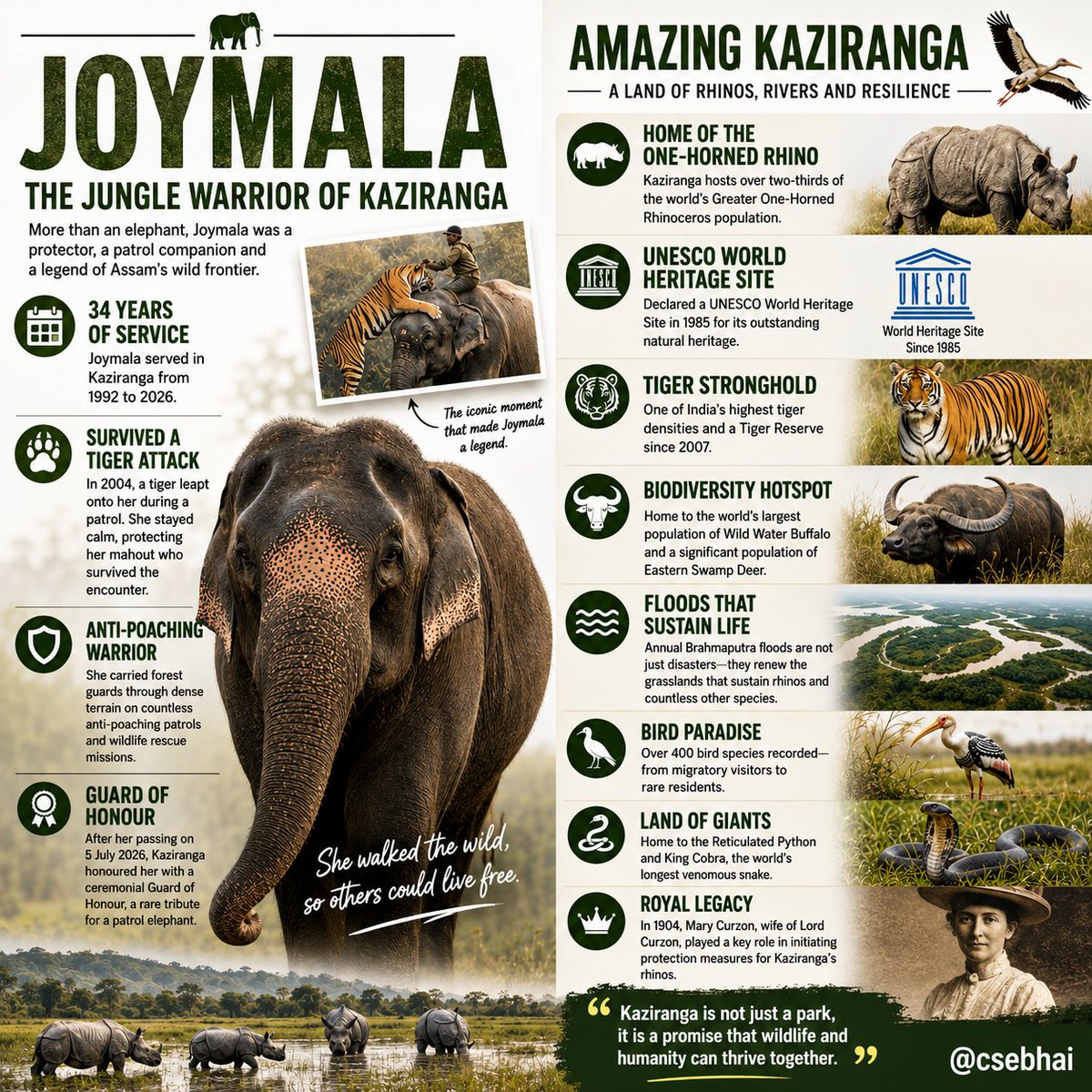 csebhai's tweet photo. @AMAZlNGNATURE You can read more intersting facts about the Joymala the legend here👇

Also some interesting facts about Kaziranga too. https://t.co/VX1IuKlVD2