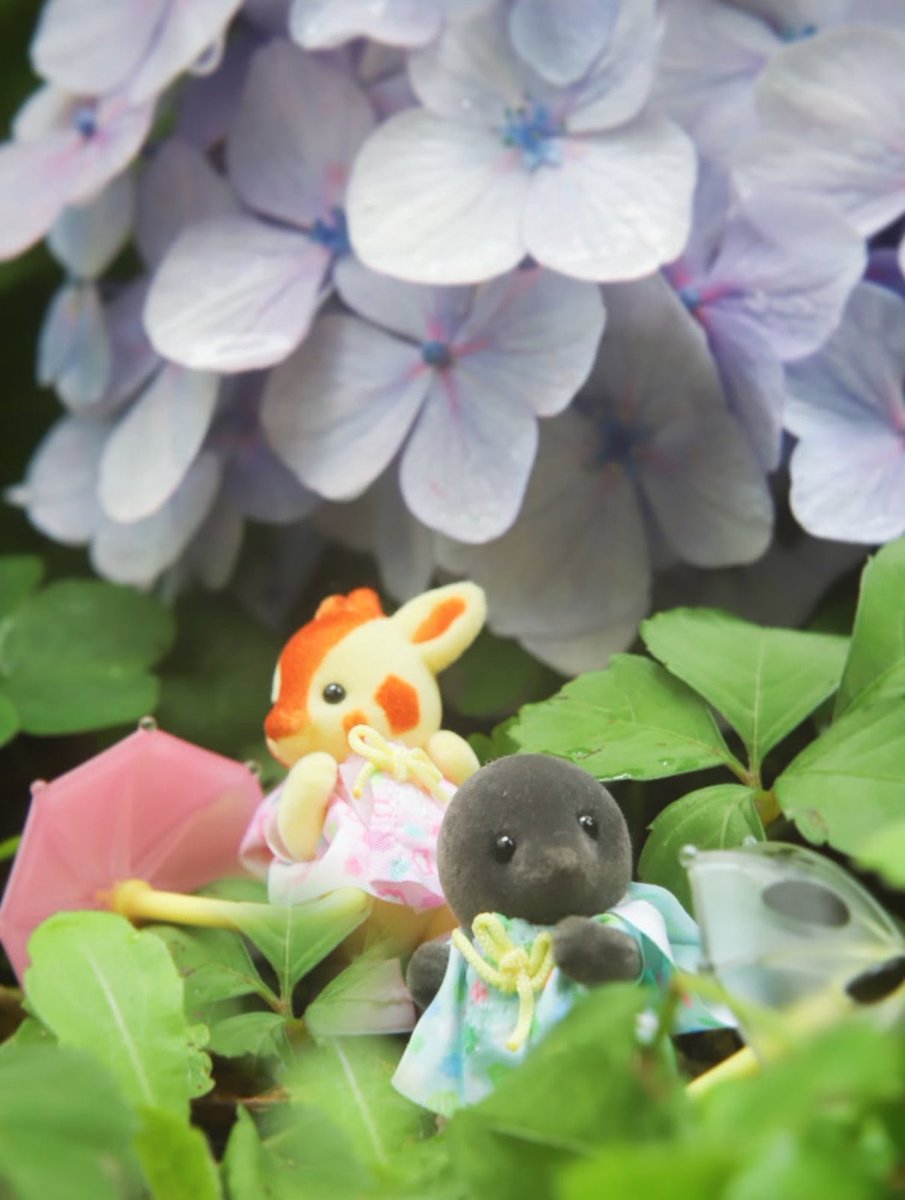 nonncamera's tweet photo. #シルバニアファミリー
#sylvanianfamilys 
#シル活　#外バニア https://t.co/A3sx6kgqiy