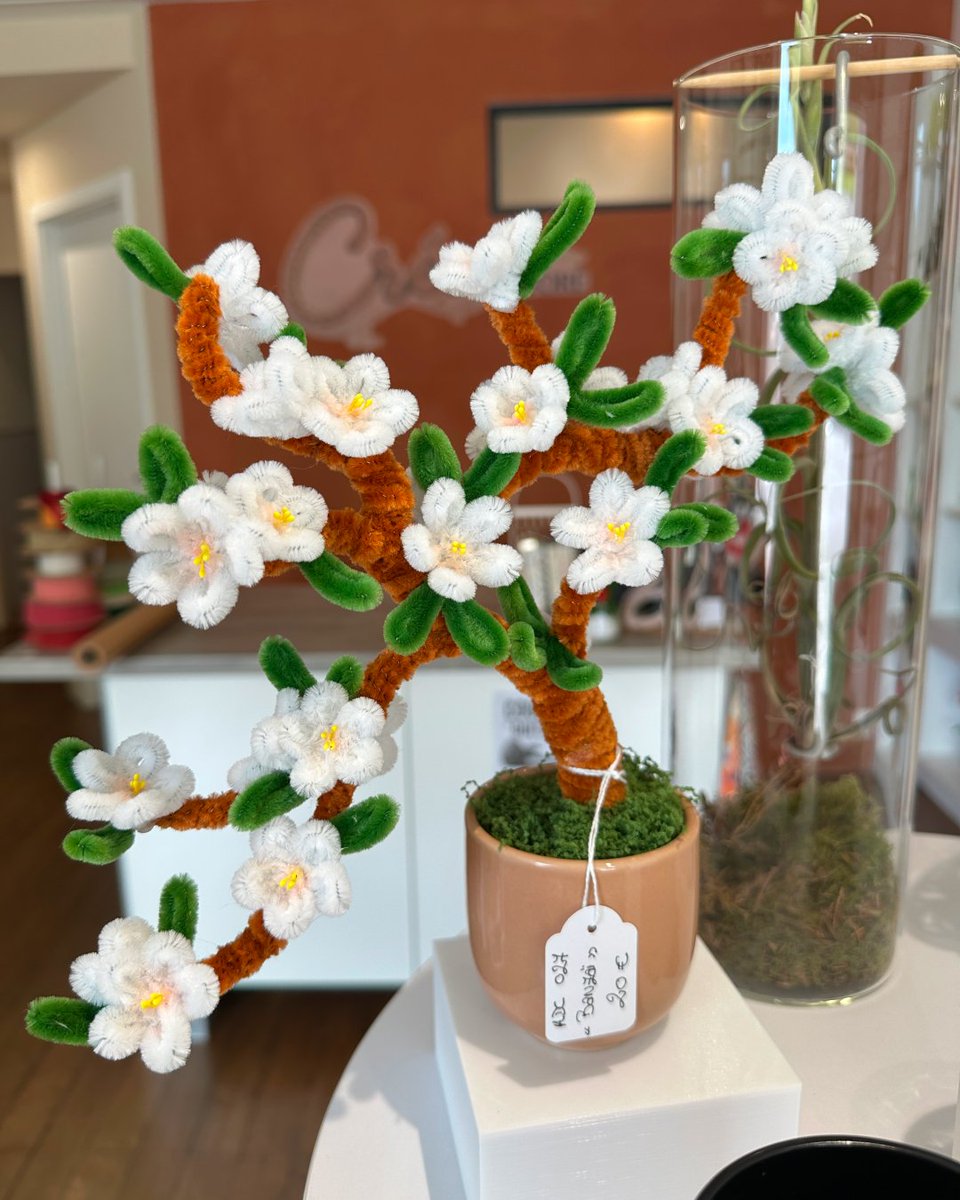 creastore_clb's tweet photo. Les nouveautés de L'Atelier de Cécé sont arrivées !
Bouquets, arbres fleuris, méduses et décorations en fil chenille réalisées à la main. Une idée cadeau originale... ou un plaisir à s'offrir. 💐
📍Colombey-les-belles
💬 Vous choisissez quoi ? 👇
#Créastore #FaitMain https://t.co/4vntoWNVab