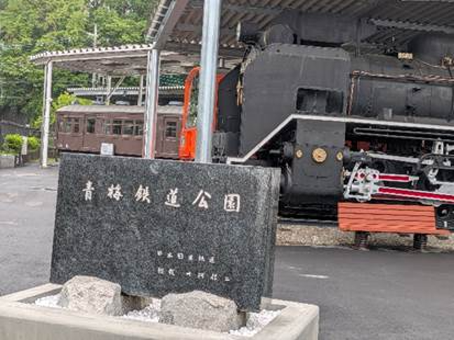 値下げ！【超貴重】中央・総武線　昭和55年お召し列車運転訓練ダイヤグラム 青梅鉄道公園へ行ってきました！ 中央線の201系をはじめさまざまな車両