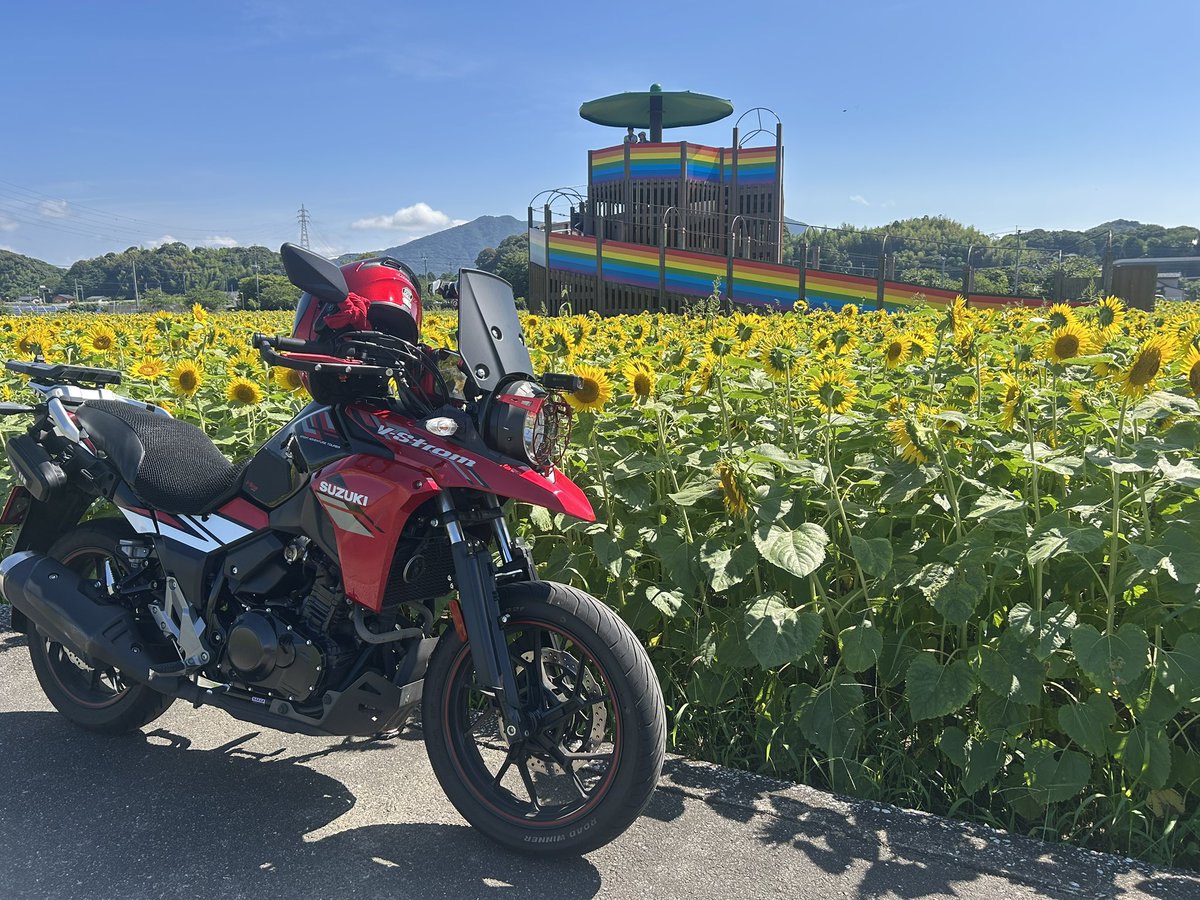 MGS1_KAMEN_RIDE's tweet photo. #バイク　#ツーリング 
#Vストローム
#vstrom
#Vストローム250 
#VSTROM250 

バイクツーリングVストローム250

伊良原ダム
道の駅おおとう桜街道　ひまわり畑 https://t.co/gOWMNBhfmV